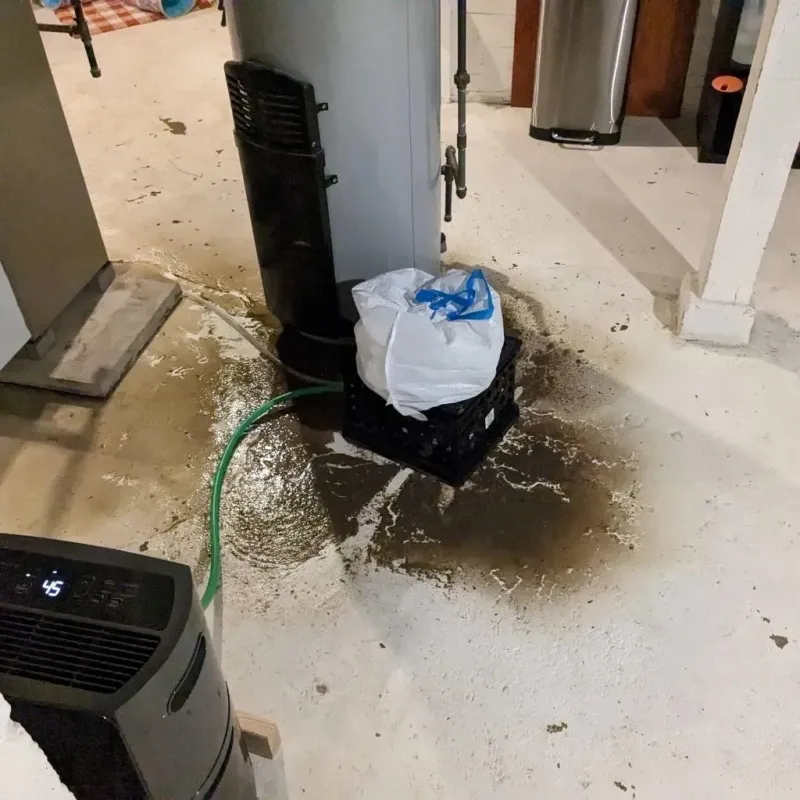 Sewage Backup Cleanup Service in Pemiscot County, MO